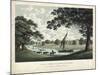 Watts' Views VII-W. Watts-Mounted Art Print