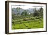 Waturaka Valley, Below Kelimutu Volcano, Moni-Tony Waltham-Framed Photographic Print