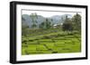 Waturaka Valley, Below Kelimutu Volcano, Moni-Tony Waltham-Framed Photographic Print