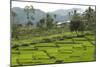 Waturaka Valley, Below Kelimutu Volcano, Moni-Tony Waltham-Mounted Photographic Print