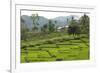 Waturaka Valley, Below Kelimutu Volcano, Moni-Tony Waltham-Framed Photographic Print