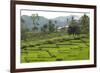 Waturaka Valley, Below Kelimutu Volcano, Moni-Tony Waltham-Framed Photographic Print