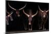 Watusi family-Xavier Ortega-Mounted Photographic Print