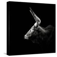 Watusi-Christian Meermann-Stretched Canvas