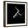 Watusi-Christian Meermann-Framed Photographic Print