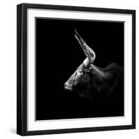 Watusi-Christian Meermann-Framed Photographic Print