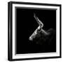 Watusi-Christian Meermann-Framed Photographic Print