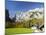Watzmann east face, Nationalpark Berchtesgaden, Bavaria, Germany.-Martin Zwick-Mounted Premium Photographic Print