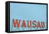 Wausau-benkrut-Framed Stretched Canvas