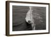 Wave 1-Lee Peterson-Framed Photographic Print