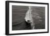 Wave 1-Lee Peterson-Framed Photographic Print