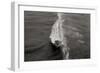 Wave 1-Lee Peterson-Framed Photographic Print