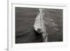 Wave 1-Lee Peterson-Framed Photographic Print