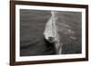 Wave 1-Lee Peterson-Framed Photographic Print