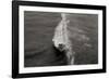 Wave 1-Lee Peterson-Framed Photographic Print