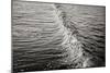 Wave 2-Lee Peterson-Mounted Photographic Print