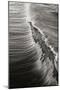 Wave 4-Lee Peterson-Mounted Photographic Print