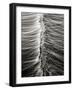 Wave 5-Lee Peterson-Framed Photographic Print