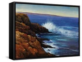 Wave Breaker-Tim O'toole-Framed Stretched Canvas