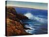 Wave Breaker-Tim O'toole-Stretched Canvas