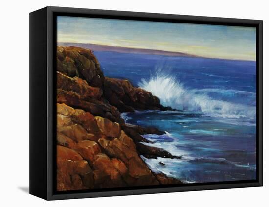 Wave Breaker-Tim O'toole-Framed Stretched Canvas