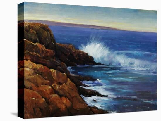 Wave Breaker-Tim O'toole-Stretched Canvas