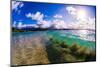 Wave breaking off Popoia Island (Flat Island), Kailua Bay, Oahu, Hawaii-Mark A Johnson-Mounted Photographic Print