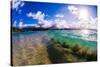 Wave breaking off Popoia Island (Flat Island), Kailua Bay, Oahu, Hawaii-Mark A Johnson-Stretched Canvas