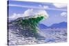 Wave breaking on a shallow reef off of Alaska-Mark A Johnson-Stretched Canvas