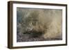 Wave Breaking On Shore, With Yellow-grey Surf-Fay Godwin-Framed Giclee Print