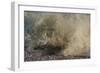 Wave Breaking On Shore, With Yellow-grey Surf-Fay Godwin-Framed Giclee Print