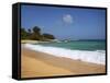 Wave Breaks, Kauai, Hawaii, USA-Dennis Flaherty-Framed Stretched Canvas