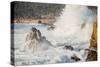 Wave Crash, Sonoma Coast, California State Parks, Coast Life-Vincent James-Stretched Canvas