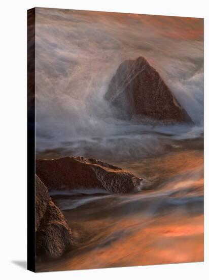 Wave Crashing, Cape May, New Jersey, USA-Jay O'brien-Stretched Canvas