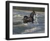 Wave Dancer-Bob Langrish-Framed Photographic Print