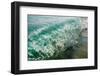 Wave folding over as it breaks in Kailua Bay, Oahu, Hawaii-Mark A Johnson-Framed Photographic Print