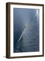 Wave pattern in South Atlantic Ocean, Antarctica-Keren Su-Framed Photographic Print