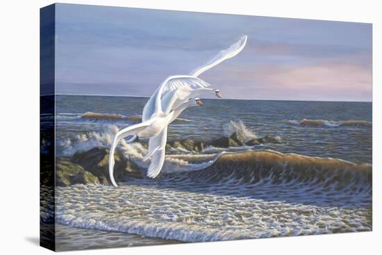 Wave Skimmers-Bruce Dumas-Stretched Canvas