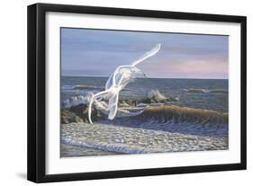 Wave Skimmers-Bruce Dumas-Framed Giclee Print