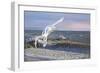 Wave Skimmers-Bruce Dumas-Framed Giclee Print