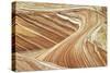 Wave Swirls-Larry Malvin-Stretched Canvas