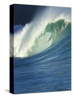 Wave, Waimea, North Shore, Hawaii-Douglas Peebles-Stretched Canvas