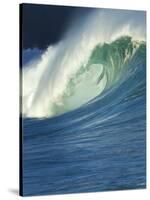 Wave, Waimea, North Shore, Hawaii-Douglas Peebles-Stretched Canvas