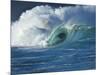 Wave, Waimea, North Shore, Hawaii-Douglas Peebles-Mounted Photographic Print