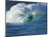 Wave, Waimea, North Shore, Hawaii-Douglas Peebles-Mounted Photographic Print