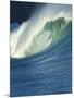 Wave, Waimea, North Shore, Hawaii-Douglas Peebles-Mounted Photographic Print