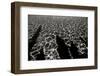 Wave-Lee Peterson-Framed Photographic Print