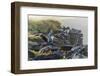 Waved Albatross (Phoebastria Irrorata)-G and M Therin-Weise-Framed Photographic Print