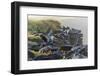 Waved Albatross (Phoebastria Irrorata)-G and M Therin-Weise-Framed Photographic Print