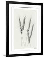 Wavering Wheat - Group-Hilary Armstrong-Framed Limited Edition